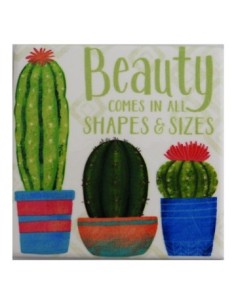 Iman 8cm Ceramica Cactus/flamenco Dl2371 Dl2372 Fg01
