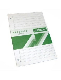 Repuesto Caligrafia 2 Rayas 48hojas Rep650 Nor-pac (b10)