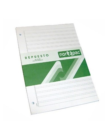 Repuesto Caligrafia 2 Rayas 48hojas 650 Nor-pac (b10)