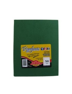 Cuaderno  19x24cm 50hj T/d Ray Arana Verde 449123 Triunfante 123 Tec02 (b5)