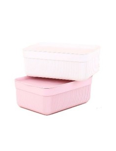 Canasto 23x17 Plast. Raya C/tapa B4860 Dec01