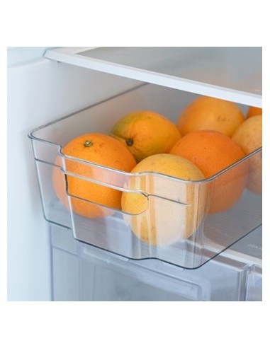 Organizador Plast. P/heladera 30x21 32642 Ben02