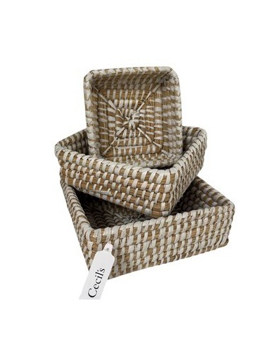 Canasto 15x5cm Cuad Seagrass Ce62283 Cec03