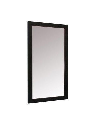 Espejo 30x60cm P/pared M/plast Ep3118/36 Vgo01 (m) (m)