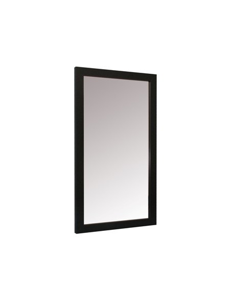 Espejo 30x60cm P/pared M/plast Ep3118/36 Vgo01 (m) (m)