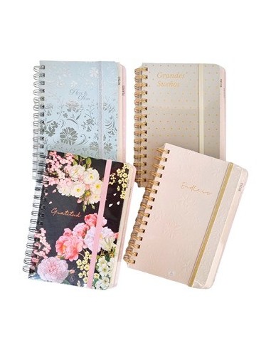 Cuaderno 14x20 Deluxe T/dura C/espiral Escalonado 1097 Rey02