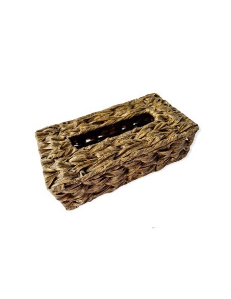 Caja 26x14x8 Organizadora Seagrass C/ Tapa Y Visor Ra91058 Rey03