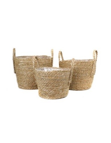 Canasto 28x22cm Mimbre C/manija Fn6 Gal01
