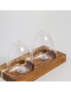 Salero Y Pimentero 7cm  Vidrio C-base Madera 0504166 Mish02