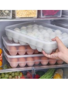 Huevera X 24 Plast. 29.5x21.5 Trasnp. C4734 Dec01 337643 Pk01