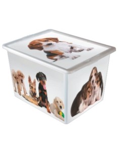 Caja Organizadora Plast. 28l 32x42x26cm Vs Disenos Soprano 1903 1910a 1901a 1909a 1908 Sao01