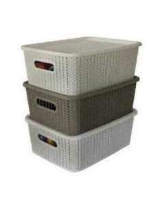 Canasto Rect. 38x29 5x14 2cm 12.5l C/tapa Ratan Col. Vs Or24-01s-or24-02s-or24-05s Sao01