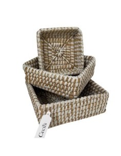 Canasto 15x5cm Cuad Seagrass Ce62283 Cec03