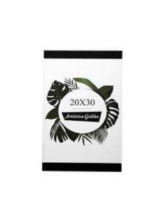 P-f 20x30 M-aluminio Negro Pa201-pa202-pa203 Gal01