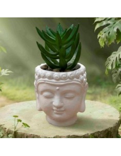 Maceta C-suculenta 10x5 5cm Cabeza Buda 1202043 G120-2043 Man02