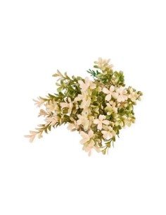 Vara 42cm Bojes X5 Fl37735 Cec03