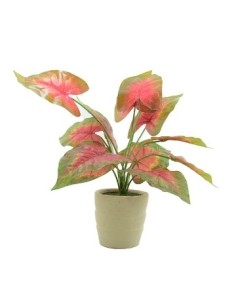 Cretona De Int  C-maceta 39cm 941y Ilum01