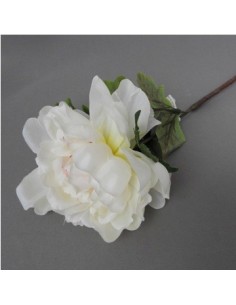 Vara 65cm Peonia C-pimpollo Lily31 Cz1 Gfl01