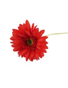 Vara 50cm Gerbera Fl15100 6620 Bourg