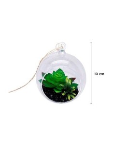 Terrario 10cm C-suculenta En Esfera Plast  P-colgar 46fl8085 Dol01 Yw-4293 Ori02