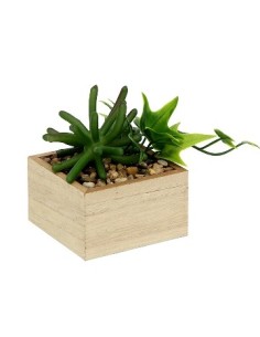 Maceta 8cm De Madera C-plantita Mcc7043-mcc7042 Vgo01