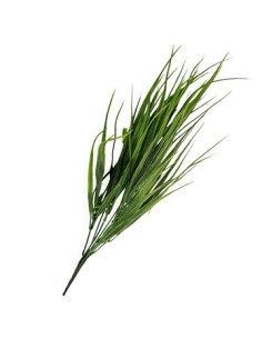 Vara 40cm Pasto Tf-56284 Tfr03 Fld-8039 Vr37759 Cec03