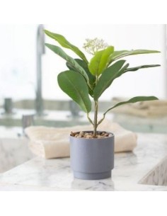Maceta 30cm C-planta 33394 Ben02
