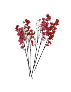 Vara 62cm Cerezo Yw-5620 Ori02