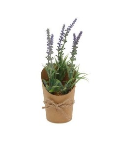 Maceta 30cm Simil Madera C-plantita Lavandas Mcc5145-mcc5144 Vgo01