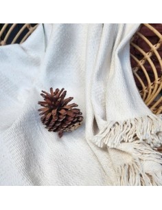 Manta 1 30x1 40mt Alisa Crudo 1910105 Pri02