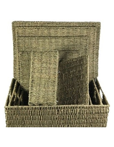 Organizador 27x17x14cm C/asa Y Tapa Seagrass Ra36101 Rey03