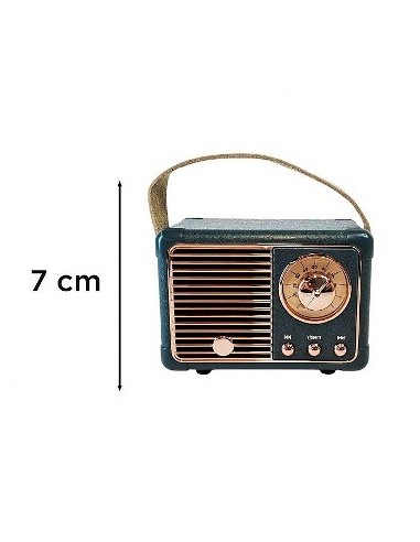 Parlante Retro Recto Perilla Dw21 Zz-2081 Ori02