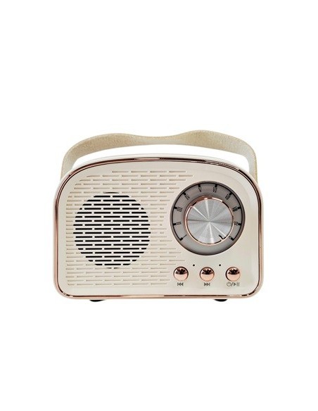 Parlante Retro Curvo Perilla Dw21 Zz-2082 Ori02