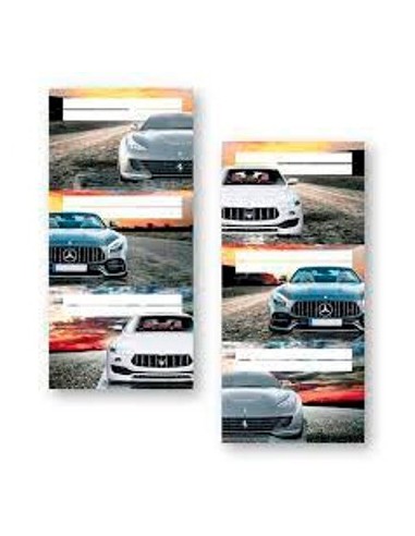 Rotulo X12 Unid. Surtido Onix