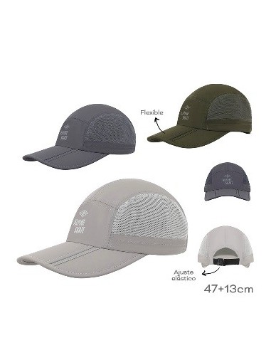 Gorra Alpine Skate 19291 19293 Tar02