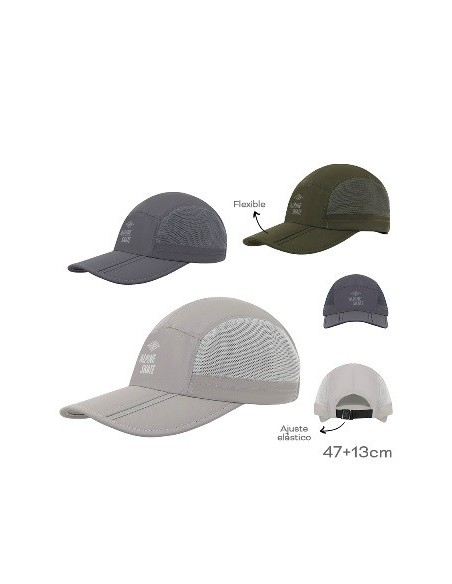 Gorra Alpine Skate 19291 19293 Tar02