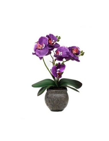 Maceta 36cm C/orquidea Violeta O47 Gal01 (m)
