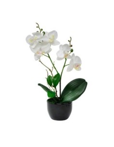 Maceta 32cm C/orquidea Blanca/rosa O54/o19 Gal01 (m)