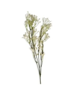 Vara Gypsophila Spray 59 Cm Fsg0641 Cec03