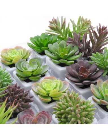 Maceta Ceramica C/penca-planta Surtido 14891-14895  Tar02