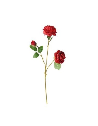 Ramo X3 Rosas Fa266/fa270 Jun02