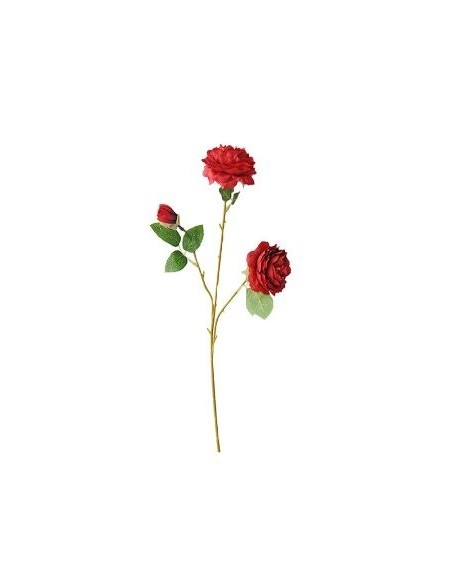 Ramo X3 Rosas Fa266/fa270 Jun02