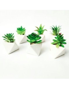 Maceta C/suculenta Geometrica/copa G120-1860 G120-1906 1201860 1201906 Man02