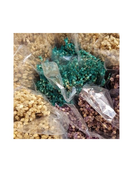 Ramo Flores Farolitos Secas Colore Surt. Csm01