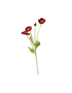 Vara 60cm Amapola Fa305/fa306 Jun02 5857/4001/4054 Solci (b12)