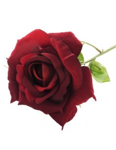 Vara 70cm Rosa Terciopelo Tf-42181 Yhys-003 Tf02 Gfl01