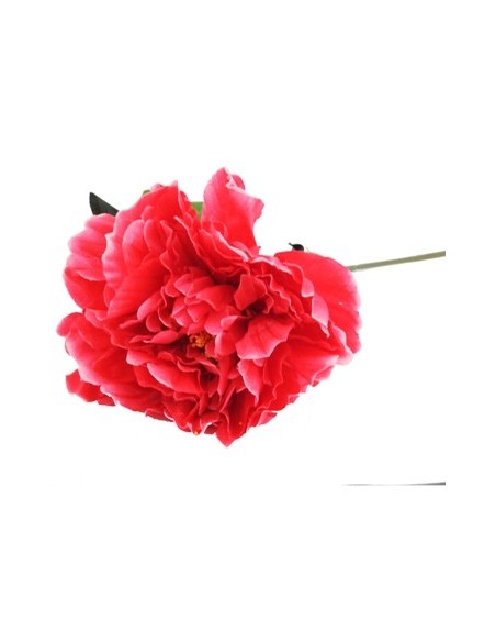 Vara 60cm Dalia Fl-15096 Bourg