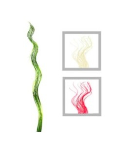 Varas X20 Mimbre 1.20mt Rulos Color As1849 01001 Fre01  (b6)