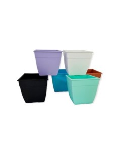 Maceta Plastica N.6 Cuadrada Colores Beruplast (b40)