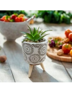 Maceta C/suculenta 13cm C/pie Madera 2022-2024 G120-2018 Man02